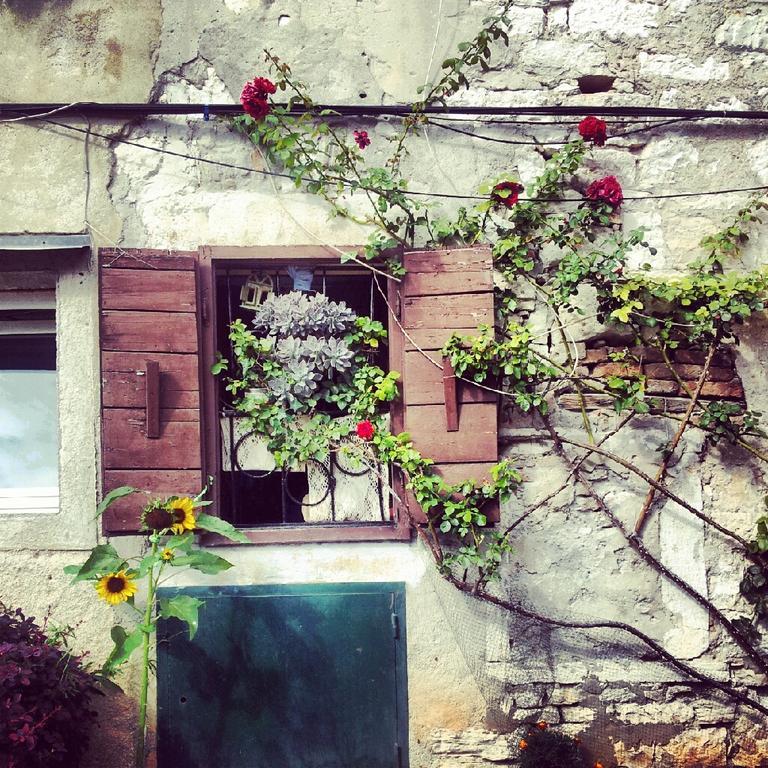 Villa Segalla Rovinj Zewnętrze zdjęcie